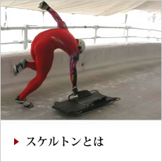 スケルトンとは